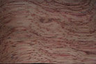Wavy Bubinga