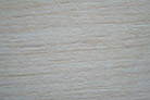 Maple