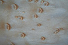 Birdseye Maple