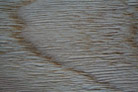 Pecan