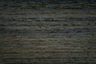 Teak