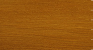 Ancient Kauri - Light