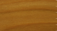 Red Birch