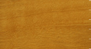 Maple