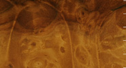  Coral Heart Maple