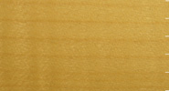  Fiddleback Maple