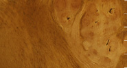 Pimento Burl