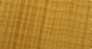 Sycamore
